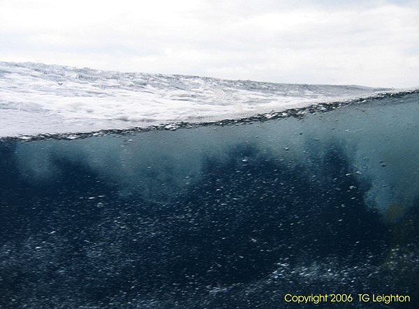 Bubble clouds shown under the sea. From ref.