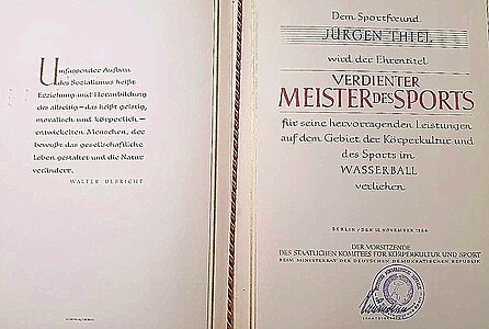 Verdienter Meister des Sports