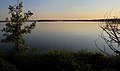 Čeština: Přírodní rezervace Věstonická nádrž zahrnuje jednu z částí vodního díla Nové mlýny, okres Břeclav English: Nature reserve Věstonická nádrž - one part of the Nové mlýny Reservoire, Břeclav District