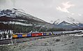 VIA 1414 with the Canadian eastbound a half mile west of Stephen on the Laggan Sub approaching the summit of Kicking Horse Pass in May 1982 B02 (31431473763).jpg