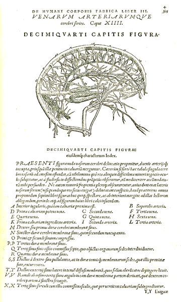 File:Vesalius 405fc.png