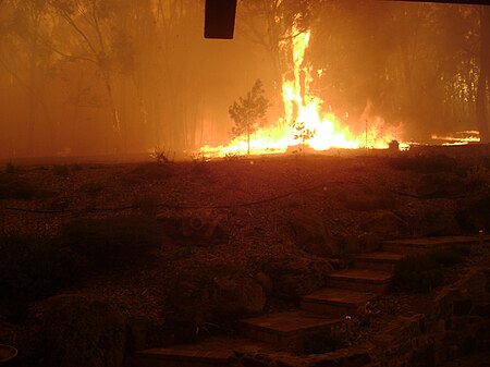 Fail:Victorian_2009_Bushfires_-_Steels_Creek_1.jpg