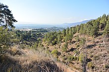 View from Kibbutz Kfar Giladi into Hula Valley 2.JPG