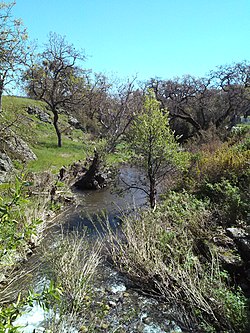 Uvas yo'lidagi ko'prik yaqinidagi Little Uvas Creek ko'rinishi, mart 2017.jpg