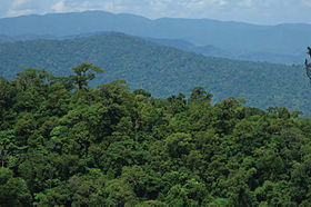 Vue sud du nord de la Sierra Madre depuis le sommet du mont.  Cagua - ZooKeys-266-001-g007.jpg