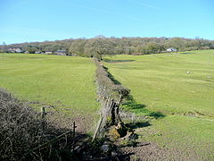 View to Pastor's Hill Wood, April 2010 - geograph.org.uk - 1793886.jpg