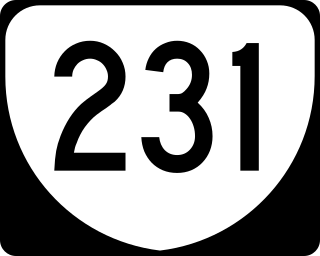 <span class="mw-page-title-main">Virginia State Route 231</span> State highway in Virginia, United States