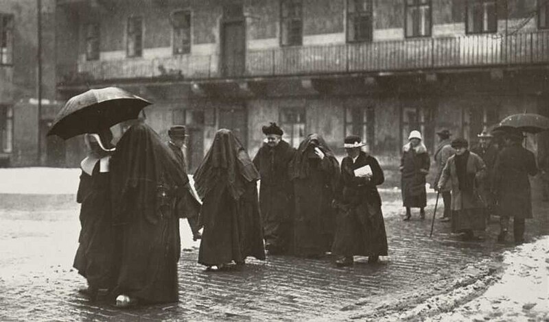 File:Volby do poslanecké sněmovny i senátu, 1925.jpg