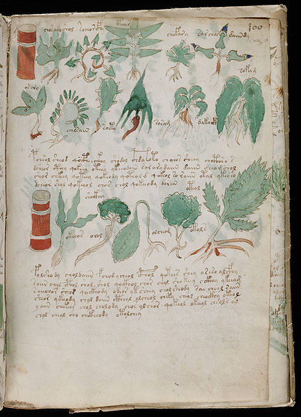 File:Voynich Manuscript (177).jpg