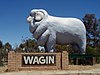 Wagin Giant Ram, Western Australia.jpg