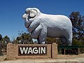 Wagin Giant Ram, Western Australia [2]
