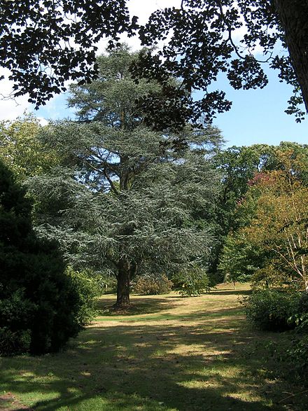 Wakehurst Place Gardens, Ardingly