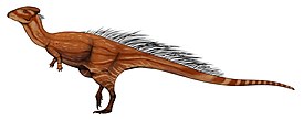 Kuvitus Wannanosaurus yansiensiksesta.
