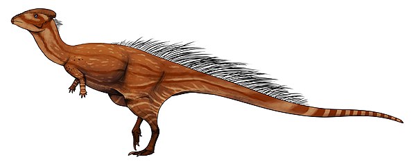 Life restoration of Wannanosaurus (primitive member)