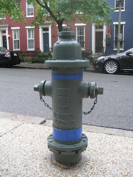 File:WashingtonValve.JPG