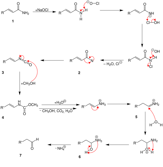 Weermann degradation second variant with unsaturated bond