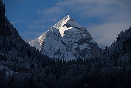 Wellhorn, sett från Meiringen