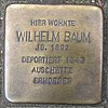 Wilhelm Baum - Papenhuder Strasse 42 (Hamburg-Uhlenhorst) .Stolperstein.nnw.jpg