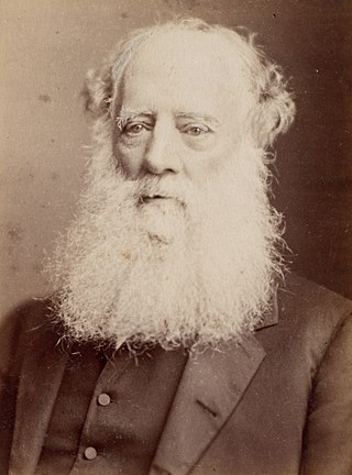 <span class="mw-page-title-main">William Branwhite Clarke</span> English geologist and clergyman
