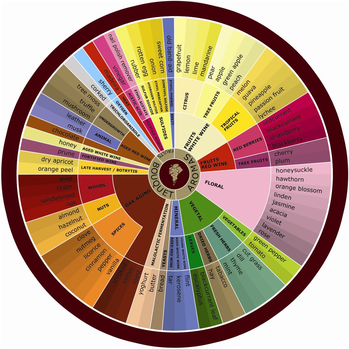 File:Wine Aroma Wheel.jpg - Wikipedia