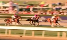 Wise Dan winning the 2012 Breeders' Cup Mile Wise Dan 2012 02.png