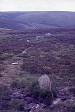 Короткий заостренный камень, торчащий из луга.