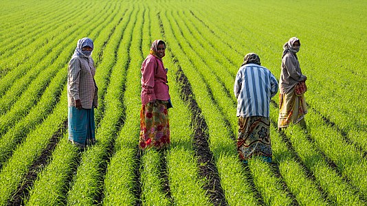 Women at work, Gujarat (cropped)