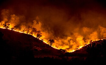 Âbros en fllames pendent lo Woolsey Fire, en novembro 2018. (veré dèfenicion 5 760 × 3 559*)