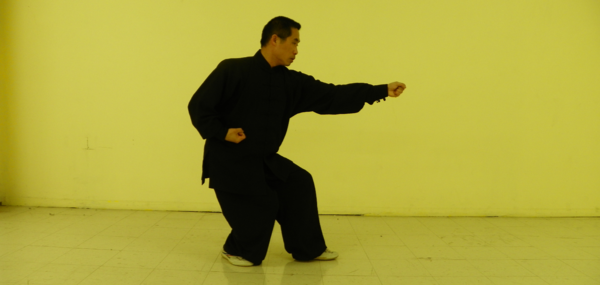 Master Yang Hai of Montreal (originally from Tianjin), demonstrating a variation of Beng Quan (崩拳) – one of the Five Fists (Wu Xing) of Xing Yi Quan.