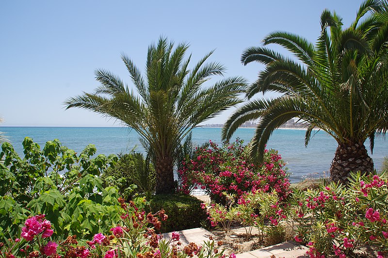 File:®s K3 SD Ð ┼ EL CAMPELLO CABO AZUL PÉRGOLA-MIRADOR - panoramio (19).jpg