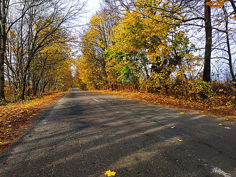 File:Дорога з Масівець в Богданівці.jpg