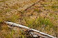 Barbed wire at the Ukrainian-Romanian border, Marmaros ridge.