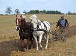 Arado tirado por caballos