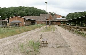 Bahnstrecke Ducherow–Heringsdorf–Wolgaster Fähre: Streckenverlauf, Geschichte, Pläne für den Wiederaufbau der Strecke ab Ducherow