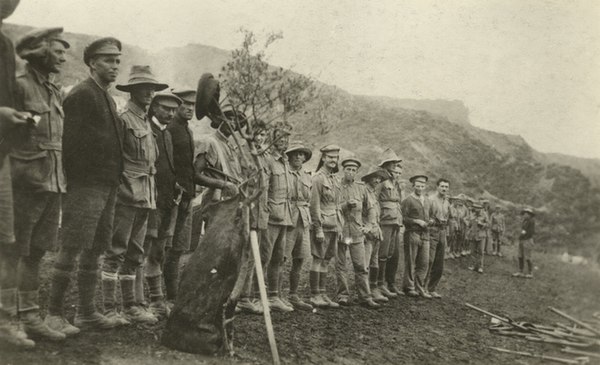 Survivors from the failed attack at Pope's Hill, 7 August 1915