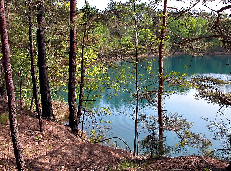 File:20050521135DR Teichlandschaft Kromlau - Weißwasser.jpg