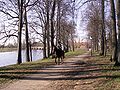 Riding in the manor park