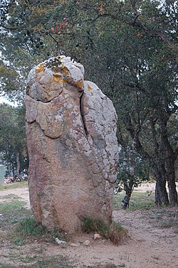 A Menhir de Puig ses Forques cikk szemléltető képe