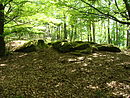 2012 Palatinate Forest 175 Kesselberg Gletschermulden.jpg