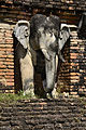 Wat Chang Lom im Geschichtspark Sukhothai