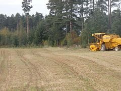 Agriculture Field