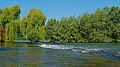 Rhein, Belle (Alte Albmündung)