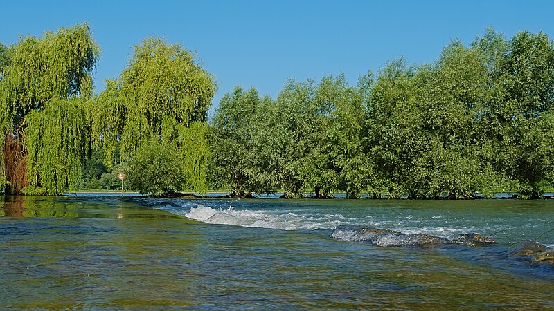 File:2018.06.04.-08-Rhein-Eggenstein-Leopoldshafen--Belle-Alte Albmuendung.jpg