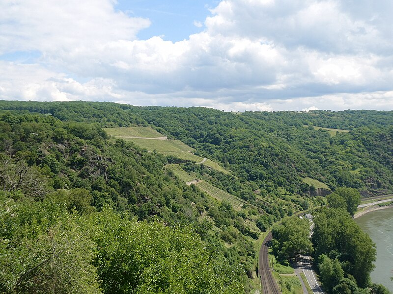 File:2022 Rheintal 154 Weinlagen Bornicher Rothenack - Sankt Goarshausener Loreley-Edel.JPG