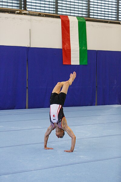 File:5th Budapest Cup 2019-05-25 Yusuf Tokcan (Norman Seibert) - 06767.jpg