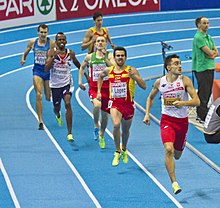 9033 finale van de 800m (14813658359).jpg