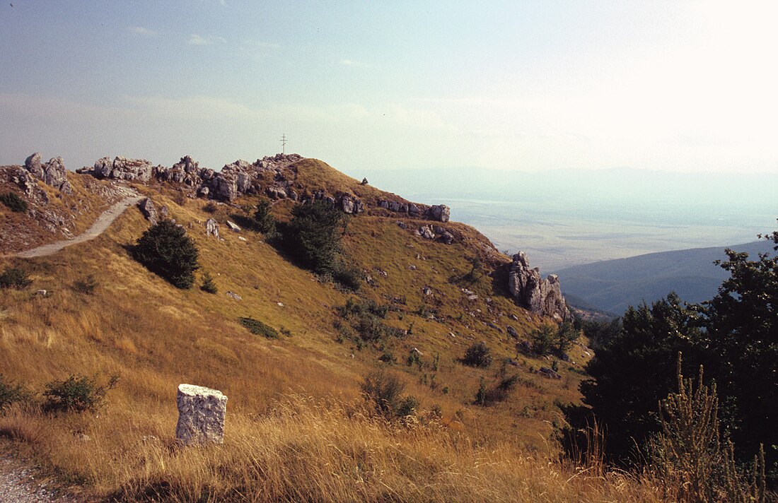 Šipkansola