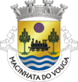 Vlag van Macinhata do Vouga