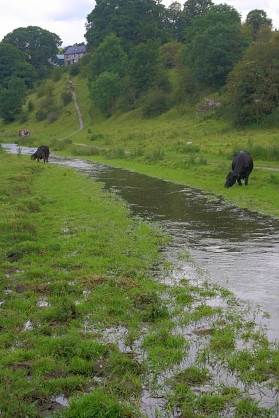 File:A Swollen River Bradford - geograph.org.uk - 3153915.jpg