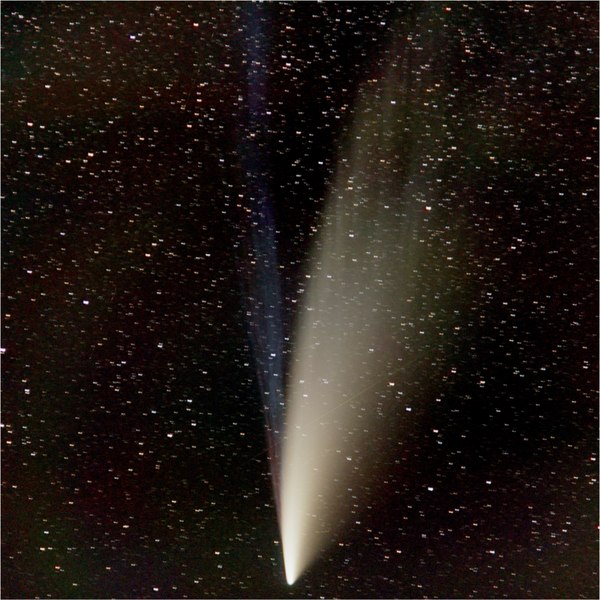 File:Aa44970-22-fig1 comet NEOWISE.tif